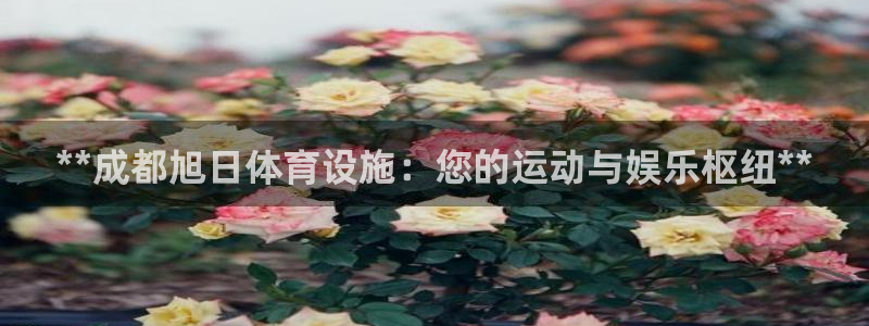 意昂体育3招商电话号码是多少号：**成都旭日体育设施