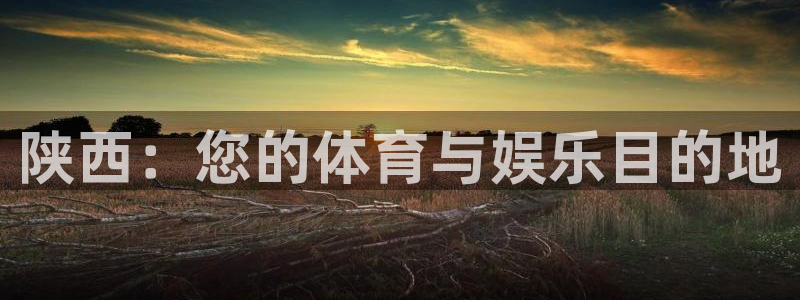 意昂体育3平台注册流程图：陕西：您的体育与娱乐目的地