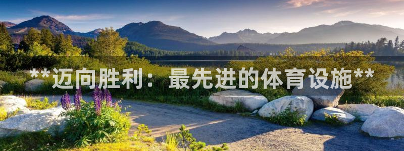 意昂体育3平台注册要钱吗安全吗：**迈向胜利：最先进