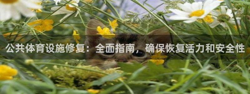 意昂体育3招商电话：公共体育设施修复：全面指南，确保