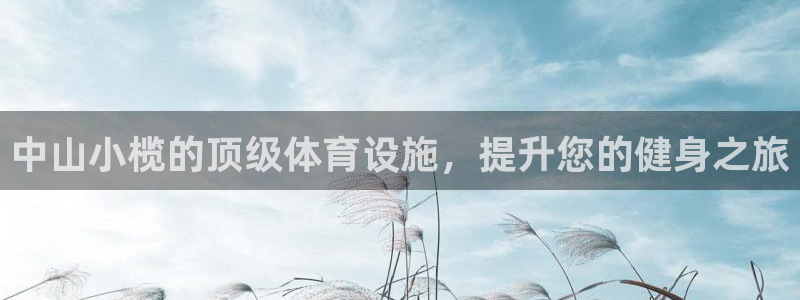 意昂体育3平台是正规平台吗