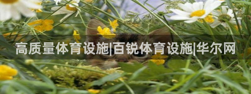 意昂3集团logo：高质量体育设施|百锐体育设施|华