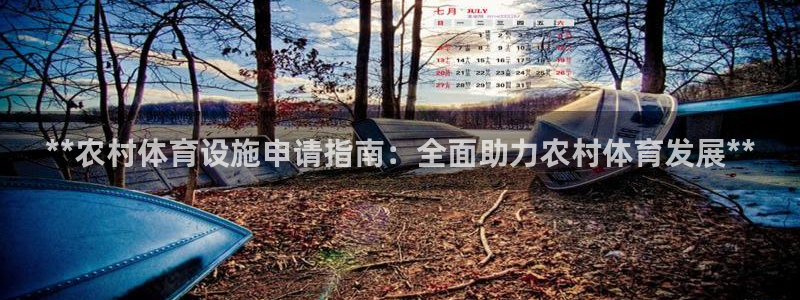 意昂3新能源：**农村体育设施申请指南：全面助力农村