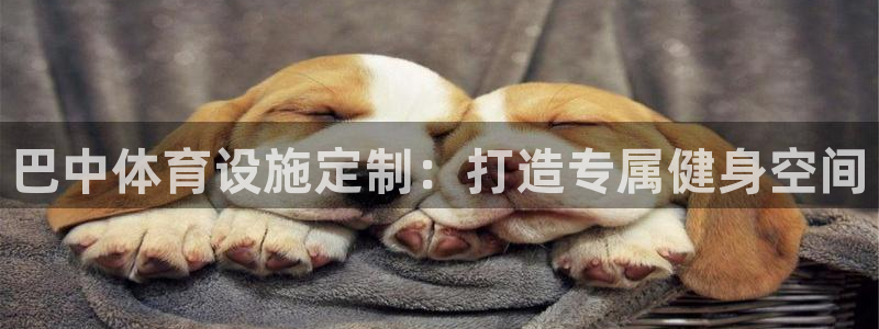 意昂体育3官方客服电话：巴中体育设施定制：打造专属健