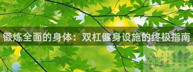注册意昂3：锻炼全面的身体：双杠健身设施的终极指南