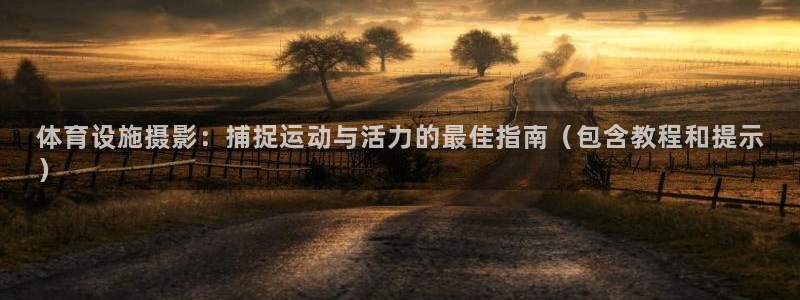 意昂体育3平台APP：体育设施摄影：捕捉运动与活力的