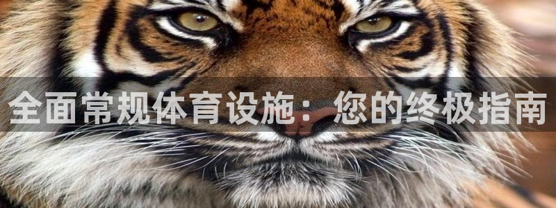 意昂体育3招商电话：全面常规体育设施：您的终极指南