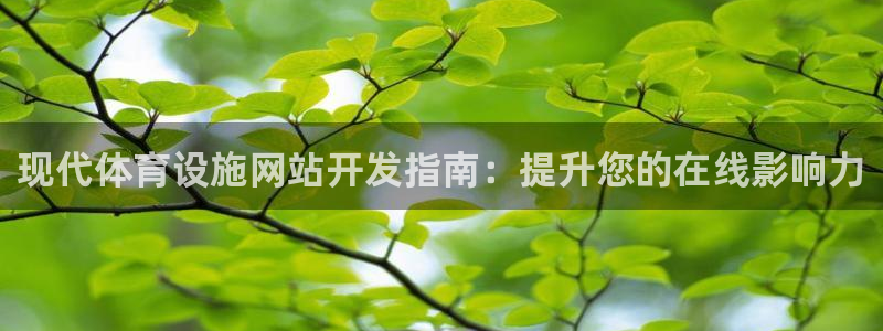 意昂体育3招商电话是多少：现代体育设施网站开发指南：