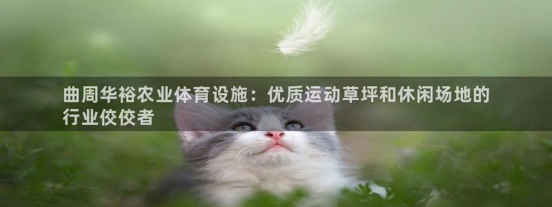 意昂体育3平台是正规平台吗知乎：曲周华裕农业体育设施
