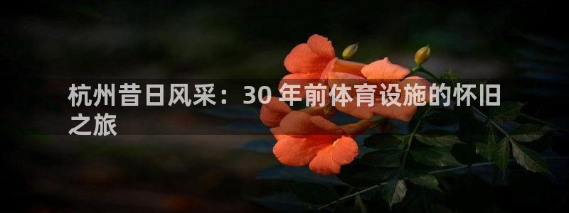 意昂3集团简介：杭州昔日风采：30 年前体育设施的怀