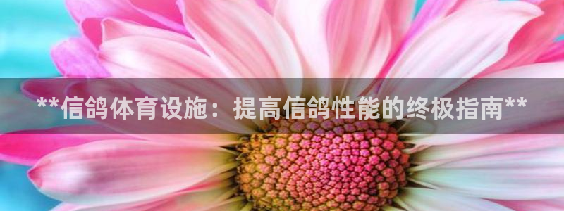 意昂体育3招商：**信鸽体育设施：提高信鸽性能的终极