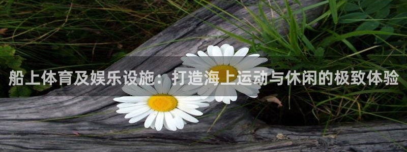 意昂体育3招商电话是多少啊：船上体育及娱乐设施：打造