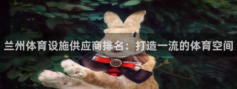 意昂体育3：兰州体育设施供应商排名：打造一流的体育空