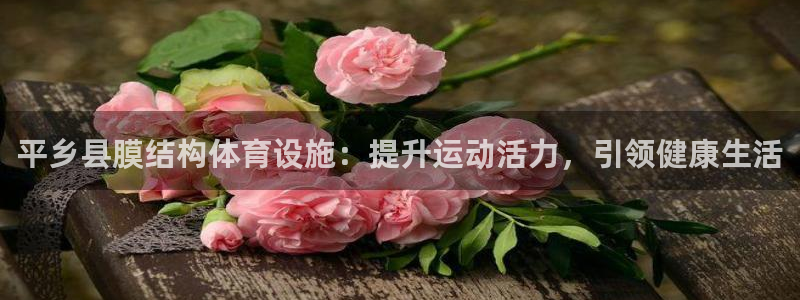 意昂体育3平台注册：平乡县膜结构体育设施：提升运动活