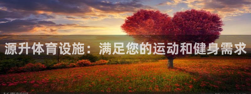 意昂3新能源：源升体育设施：满足您的运动和健身需求