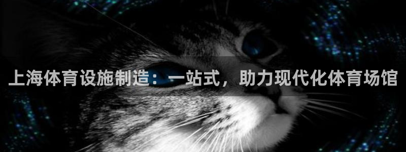 意昂集团官网：上海体育设施制造：一站式，助力现代化体