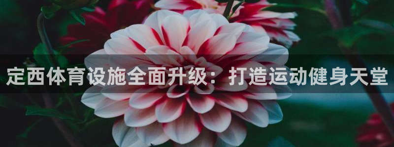 意昂体育3平台是正规平台吗：定西体育设施全面升级：打