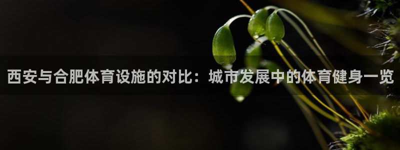 意昂体育3软件