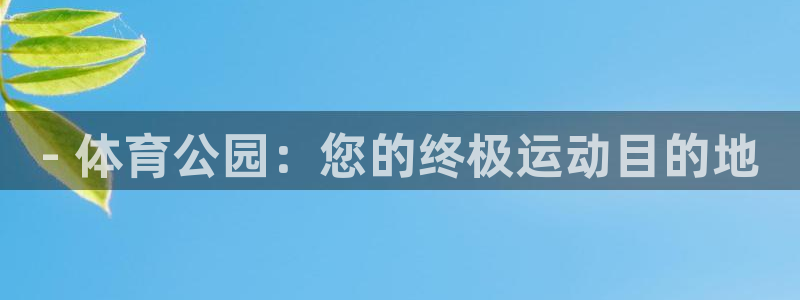 意昂3娱乐平台：- 体育公园：您的终极运动目的地