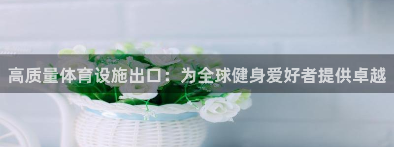 意昂3官方：高质量体育设施出口：为全球健身爱好者提供