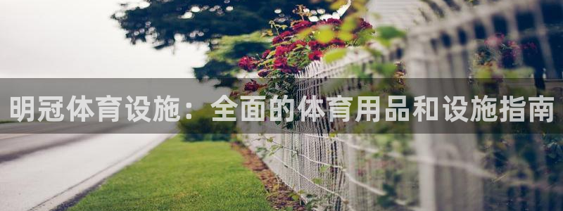 海南意昂体育3发展怎么样：明冠体育设施：全面的体育用