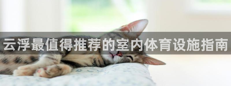 意昂3娱乐网站：云浮最值得推荐的室内体育设施指南