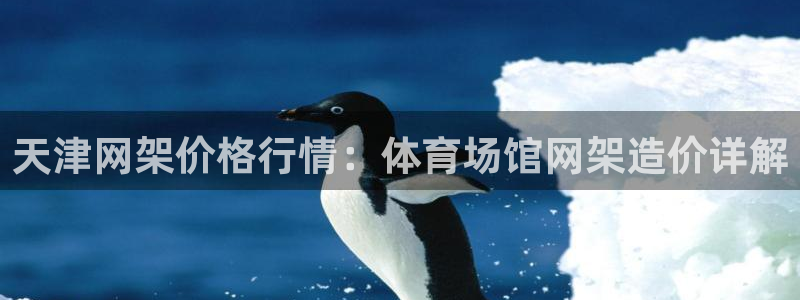 意昂体育3招商电话地址是多少：天津网架价格行情：体育