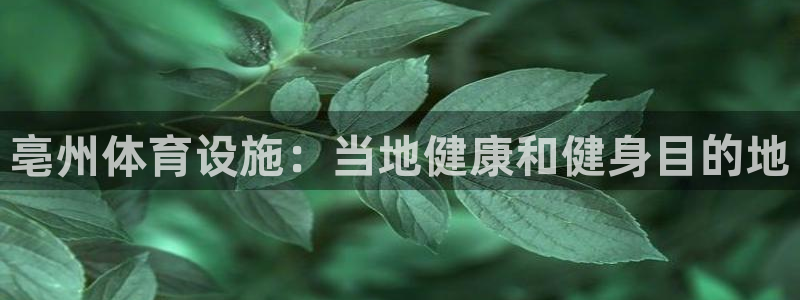 意昂体育3平台APP：亳州体育设施：当地健康和健身目