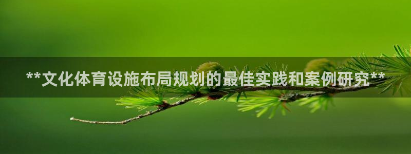 意昂体育3平台注册：**文化体育设施布局规划的最佳实
