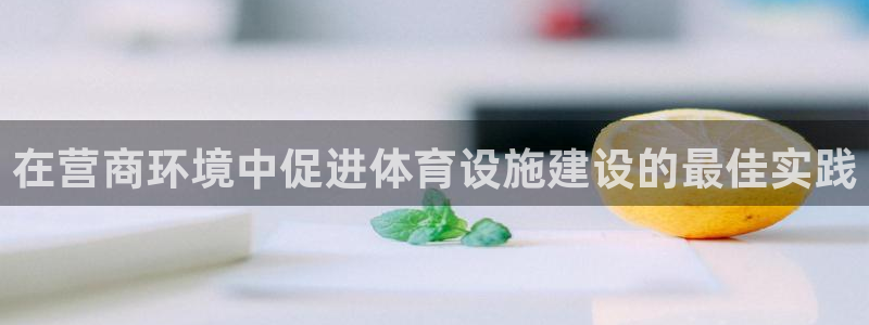 意昂体育3平台是正规平台吗：在营商环境中促进体育设施