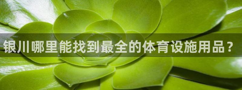 意昂体育3招商电话号码查询是多少：银川哪里能找到最全