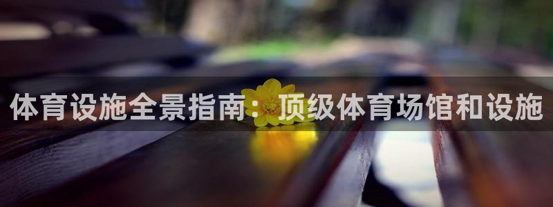 意昂3科技：体育设施全景指南：顶级体育场馆和设施