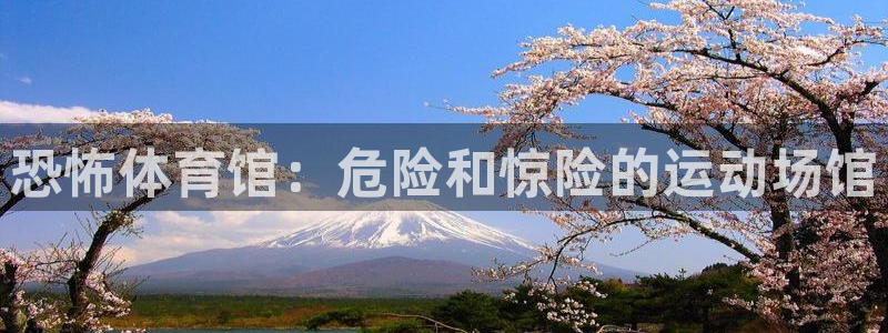 意昂3代理：恐怖体育馆：危险和惊险的运动场馆