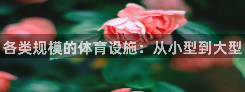 意昂体育3平台是正规平台吗知乎：各类规模的体育设施：