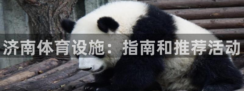 意昂体育3招商电话号码是多少啊：济南体育设施：指南和