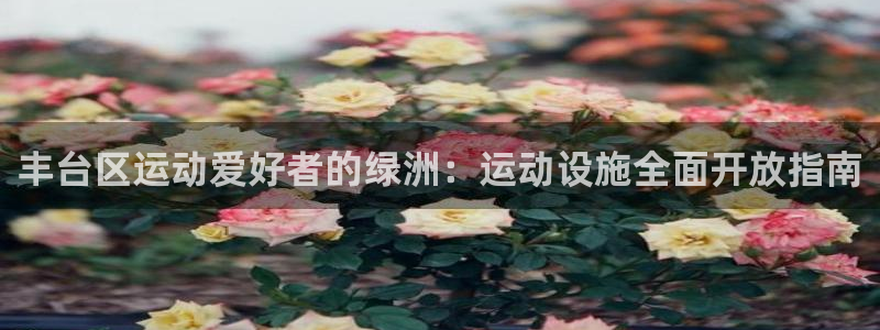 意昂3官方：丰台区运动爱好者的绿洲：运动设施全面开放
