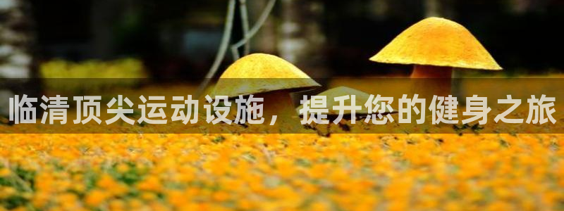 意昂体育3是干嘛的公司：临清顶尖运动设施，提升您的健