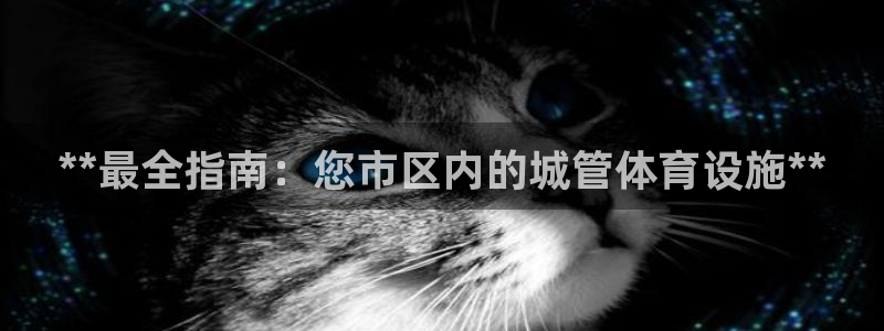 意昂3集团logo：**最全指南：您市区内的城管体育