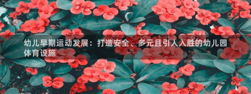 意昂体育3平台是正规平台吗：幼儿早期运动发展：打造安