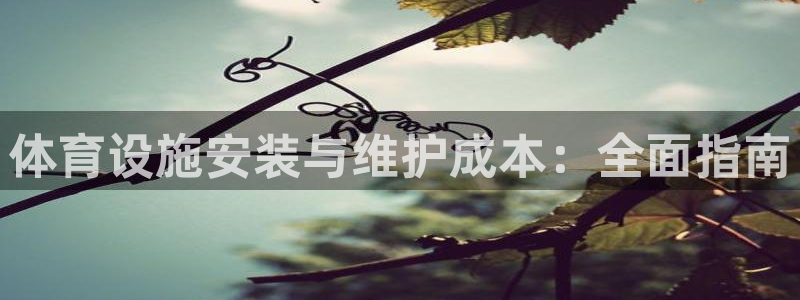 意昂体育3平台：体育设施安装与维护成本：全面指南