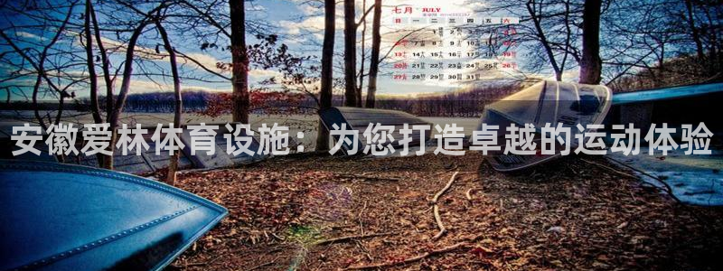 意昂3集团官网网址：安徽爱林体育设施：为您打造卓越的