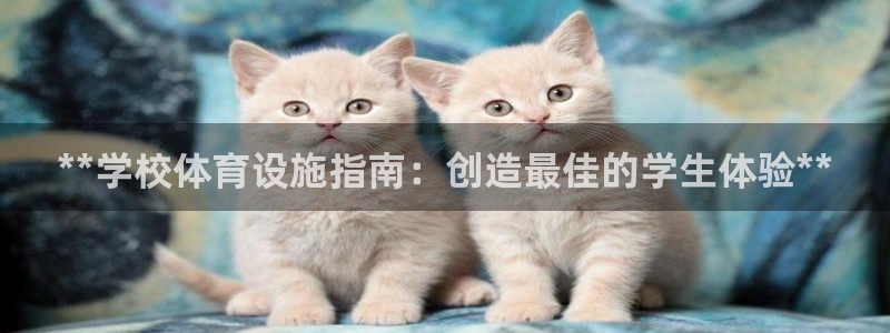 意昂3娱乐平台：**学校体育设施指南：创造最佳的学生