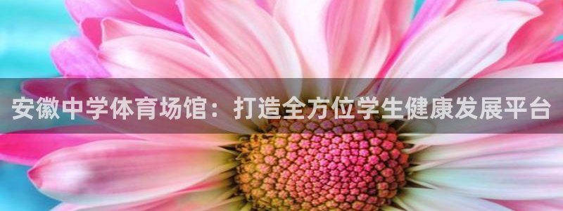 意昂体育3平台假的吗是真的吗吗：安徽中学体育场馆：打