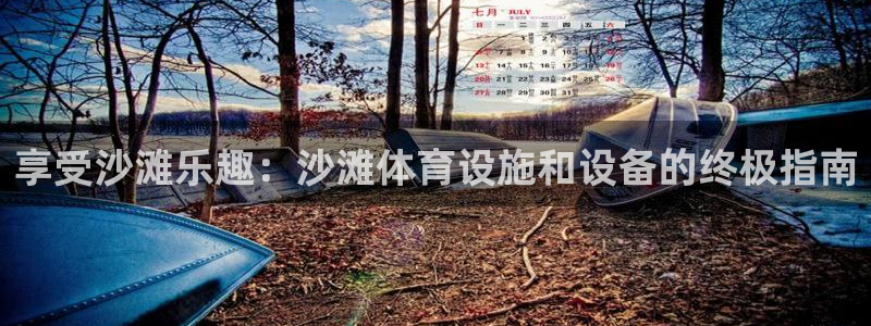 意昂3官方：享受沙滩乐趣：沙滩体育设施和设备的终极指
