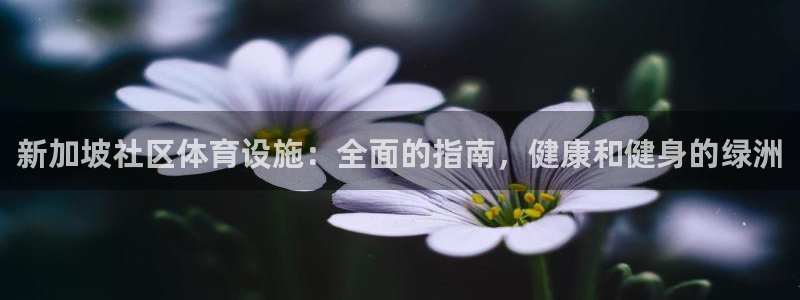意昂3娱乐平台：新加坡社区体育设施：全面的指南，健康