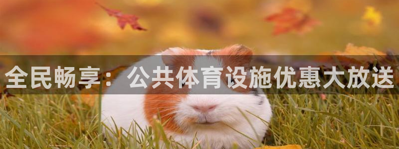 意昂体育3招商电话号码是多少号：全民畅享：公共体育设