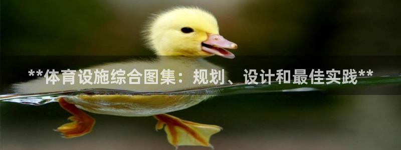 意昂体育3开户：**体育设施综合图集：规划、设计和最