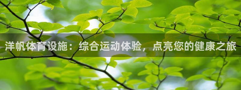 意昂3官网：洋帆体育设施：综合运动体验，点亮您的健康