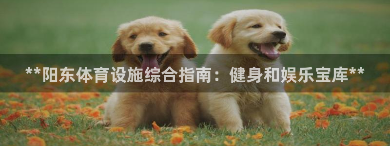 意昂体育3招商电话是多少：**阳东体育设施综合指南：