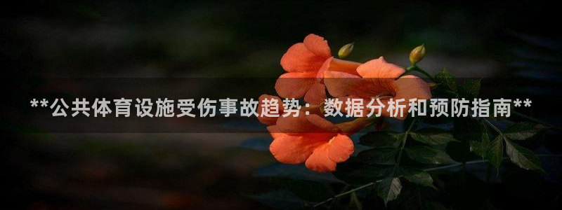 意昂体育3平台注册：**公共体育设施受伤事故趋势：数